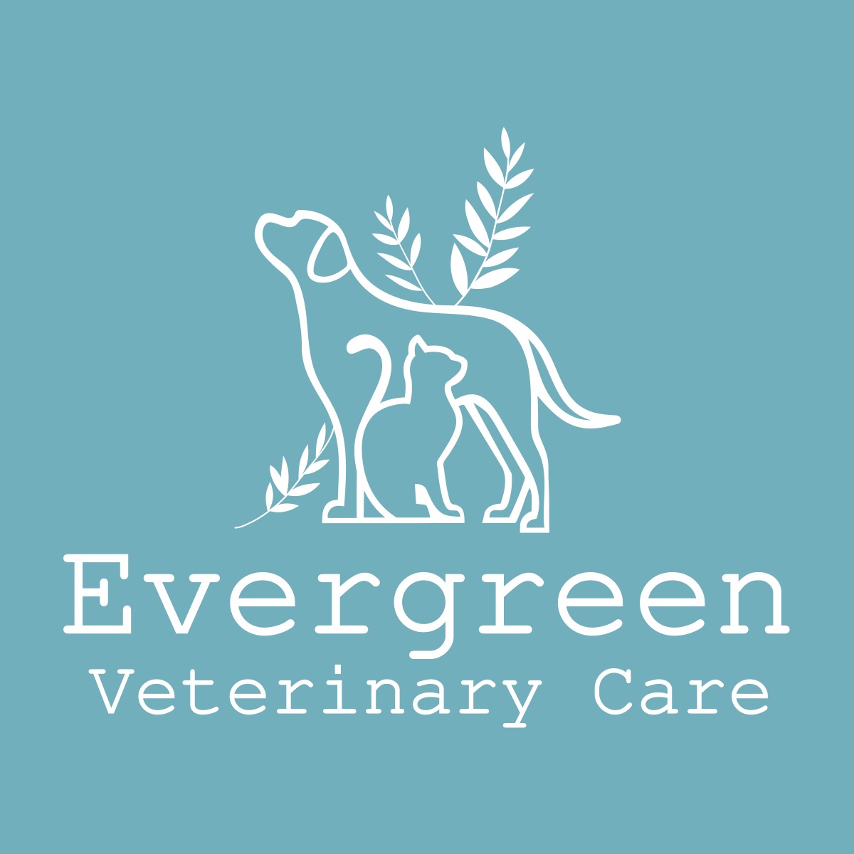 Veterinarian in Baltimore, MD | Evergreen Veterinary Care